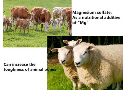 The role of magnesium sulfate in feed