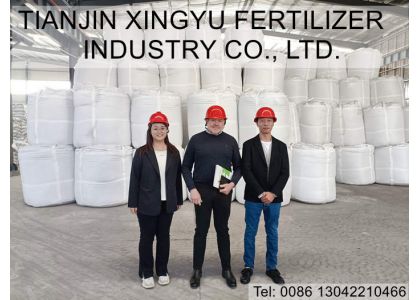 Regular customer visited our magnesium sulphate factory