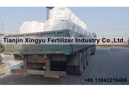 500.5 MT magnesium sulphate granular send to Qingdao port