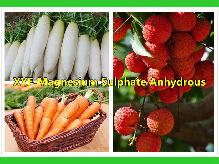 magnesium sulphate fertilizer 25 kg price