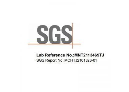 Informe SGS