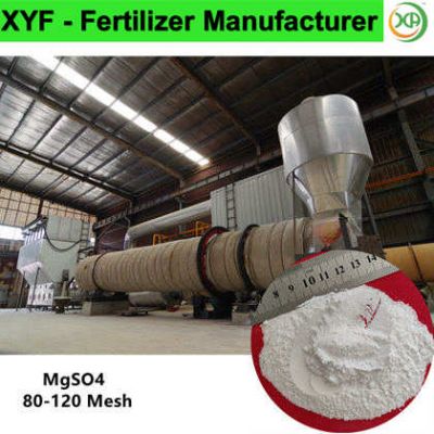 99% MgSO4 powder 80-120 mesh