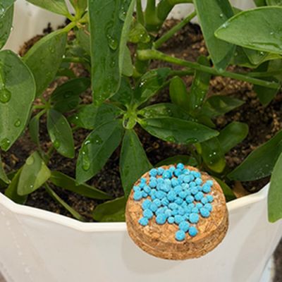 Kieserite,Granular
